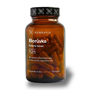 Borůvka Borůvka