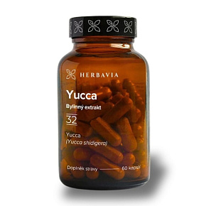 Yucca