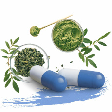 Moringa Táplálékkiegészítők
