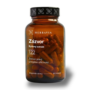 Zázvor