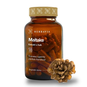 Maitake Maitake